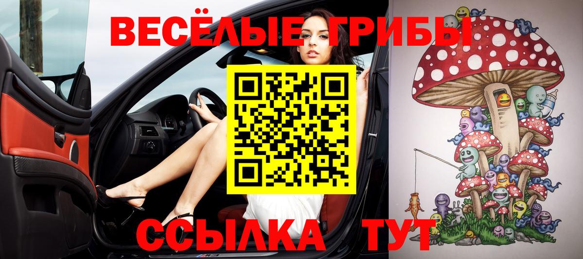 Галлюциногенные грибы Psilocybe Зеленогорск